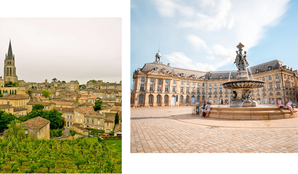 Saint Emilion Vineyards in Bordeaux